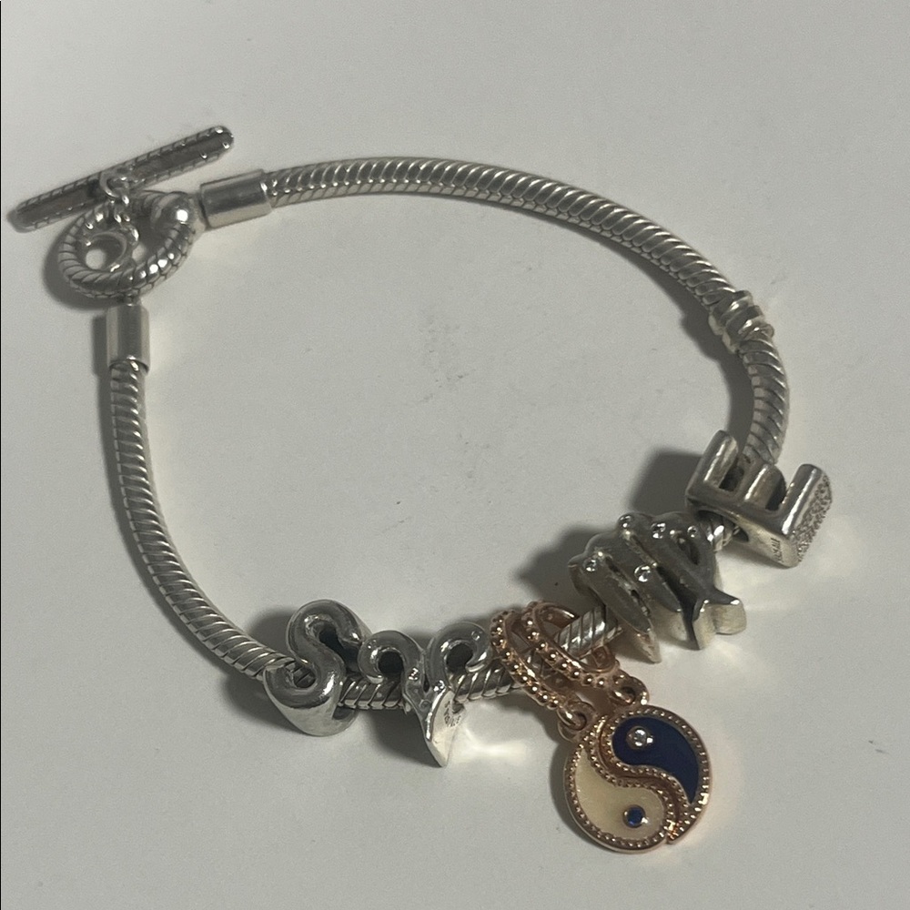 Silver and Gold Charm Bracelet bundle